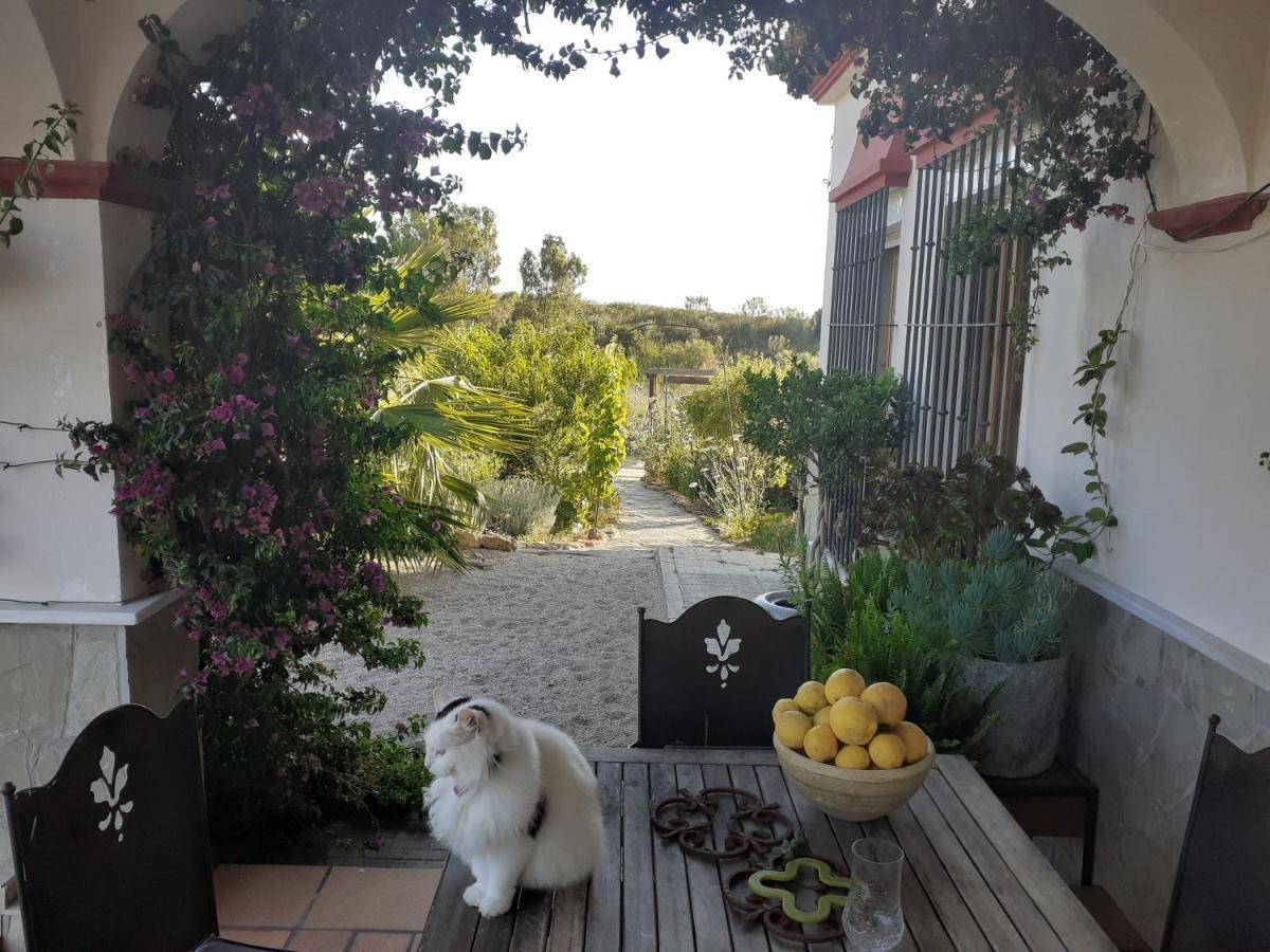 ארקוס דה לה פרונטרה Villa Entre Mer Et Montagne מראה חיצוני תמונה